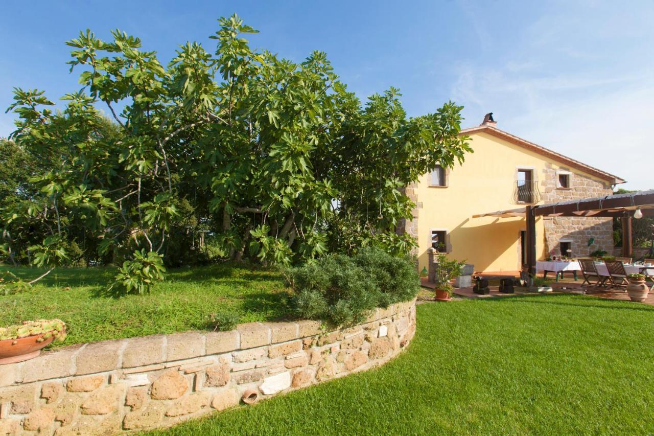 Ficolivo Acomodação com café da manhã Pitigliano Exterior foto